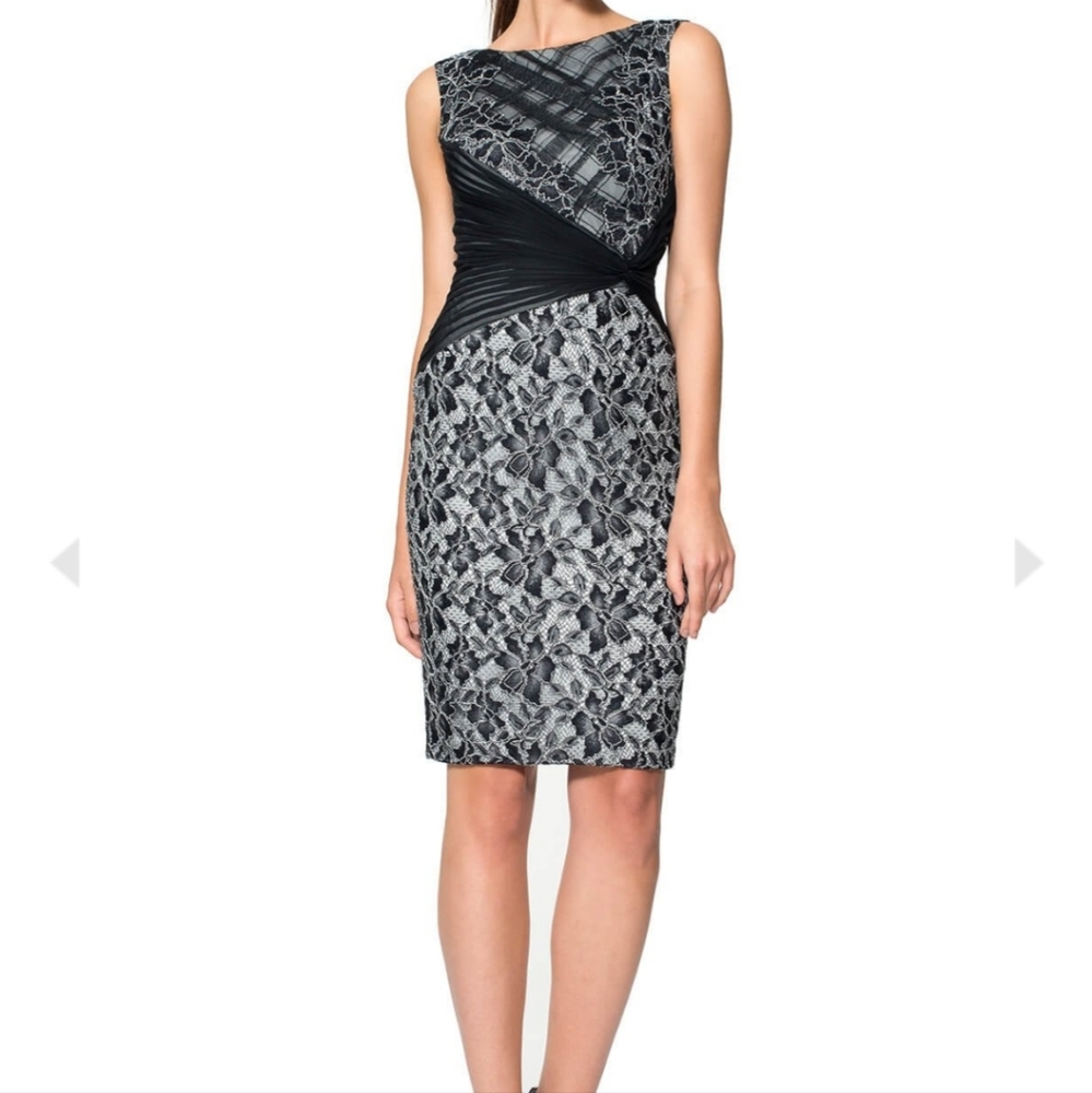 NWT Tadashi Shoji Black embroidered tulle and pleated tulle dress